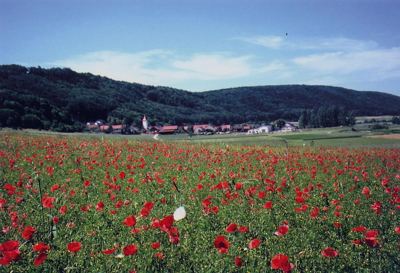 *** Hotel Landgasthof Wagner-Zimmermann Kinding Germany